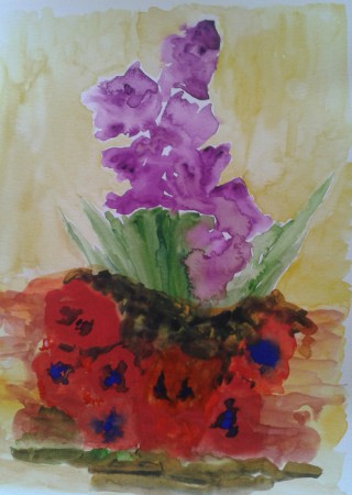 lilas y amapolas